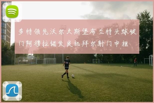 多特领先沃尔夫斯堡布兰特头球破门阿穆拉错失良机拜尔射门中框